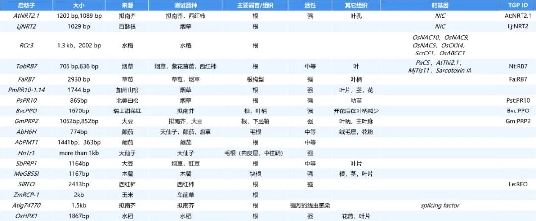 进来抄作业，启动子要这么选