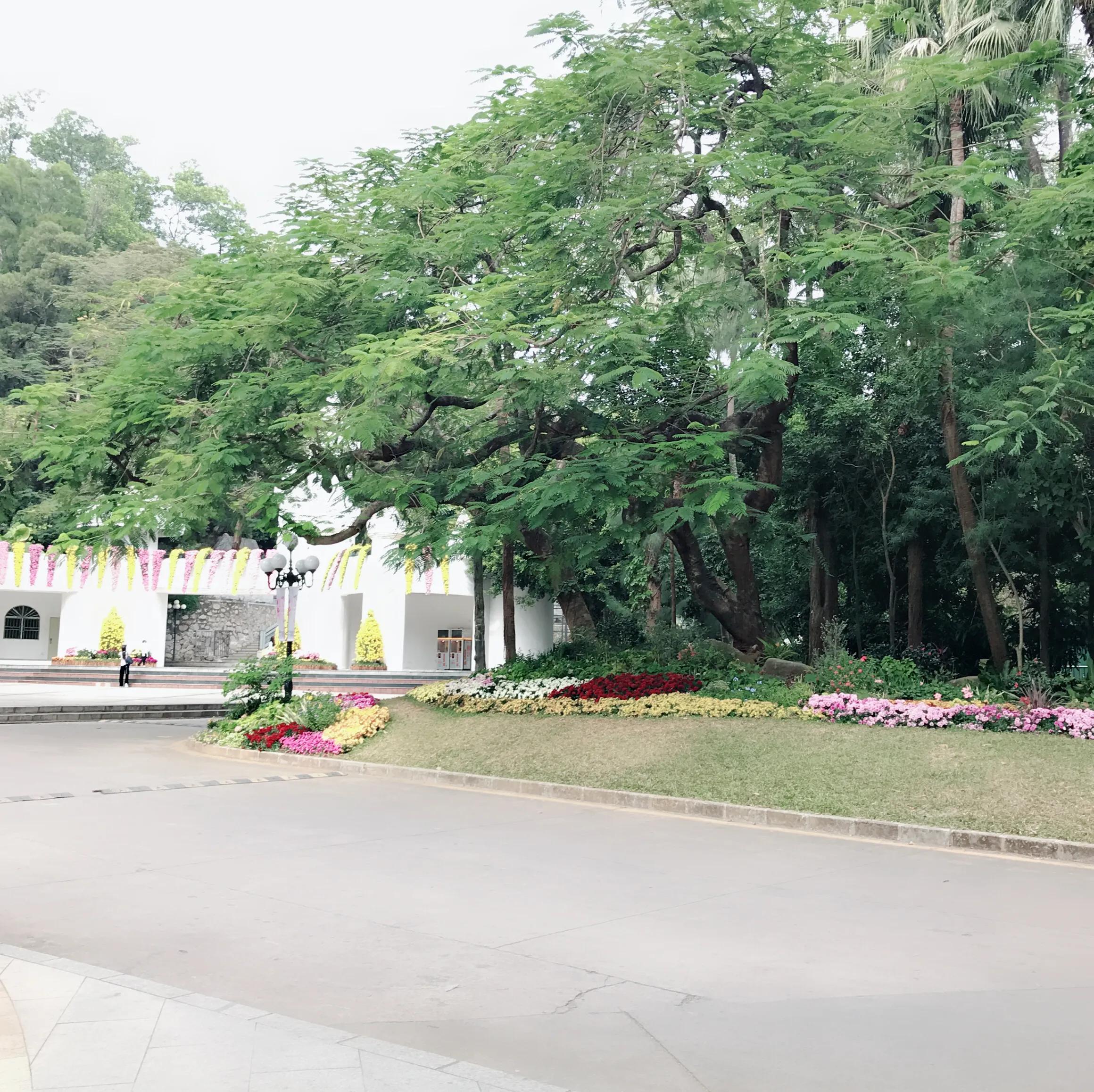 閬涘▋濂藉幓澶勮強鑺卞睍,娣卞湷閬涘▋鐪嬪睍