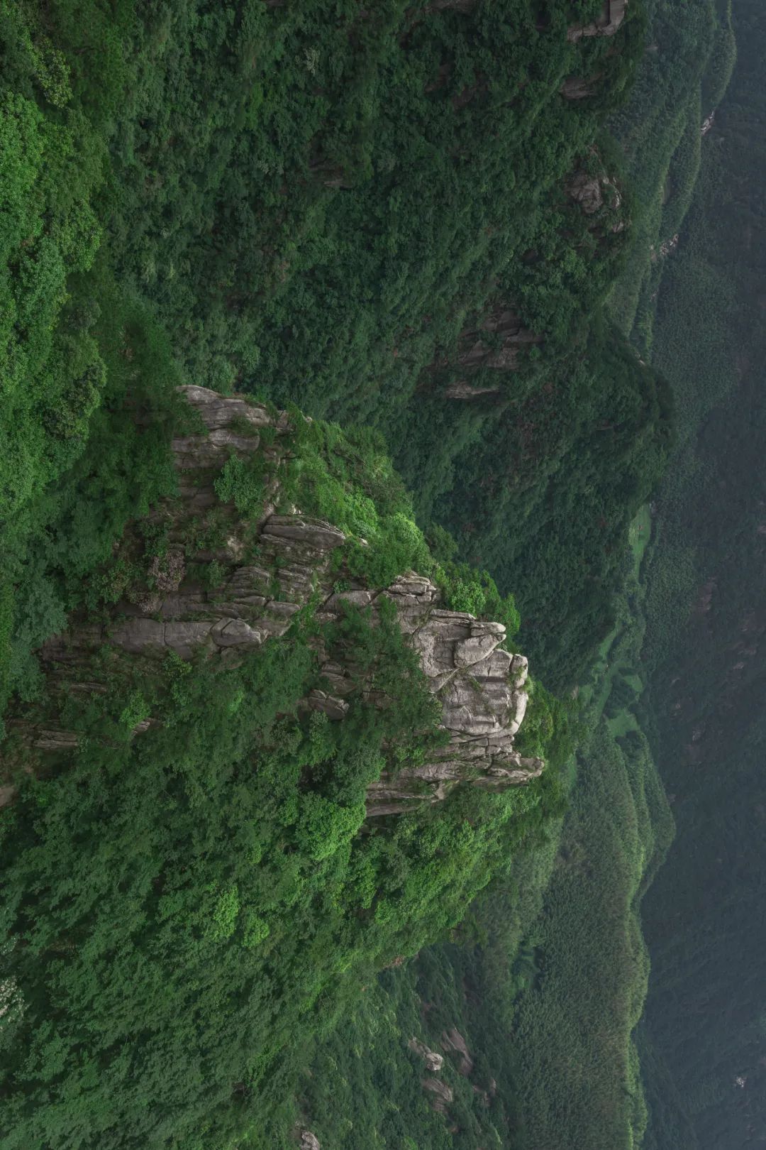 我国四大名山九华山,四大佛教名山哪个风景最美