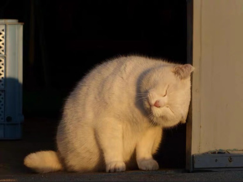 mac闆呮季绯诲垪鍙ｇ孩,mac闆呮季鍙ｇ孩娴嬭瘎