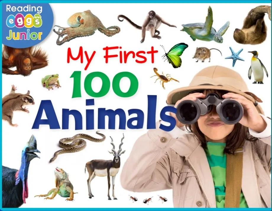 readingeggs适合12岁的孩子吗,readingeggs苹果怎么下载app