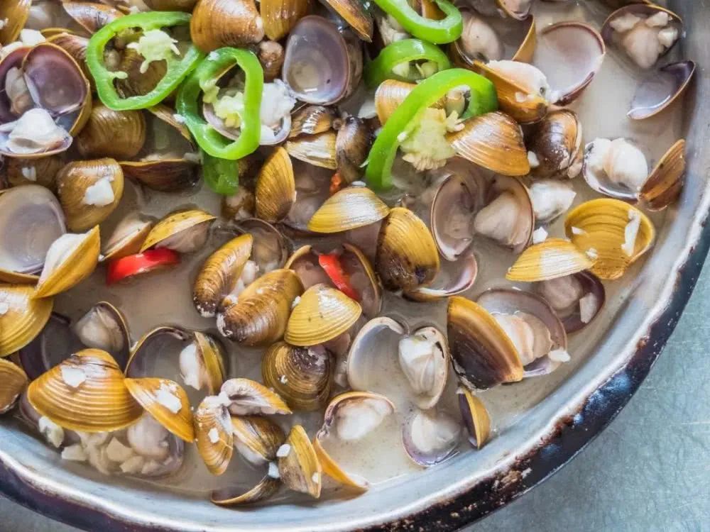 蛤蜊蚶子蛏子区别,蛏子海螺牡蛎蛤蜊