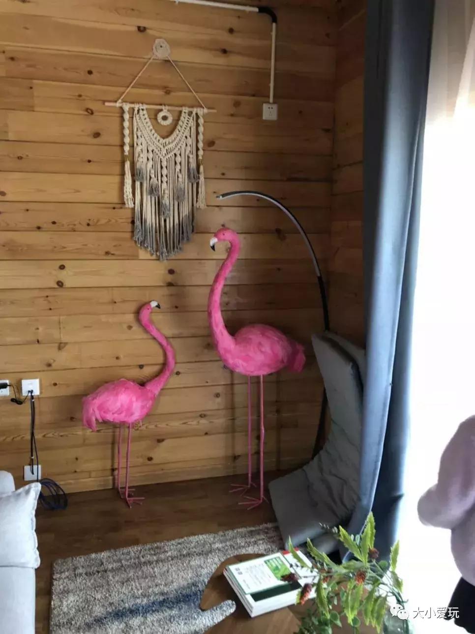 北京住宿打卡网红地,打卡北京户外