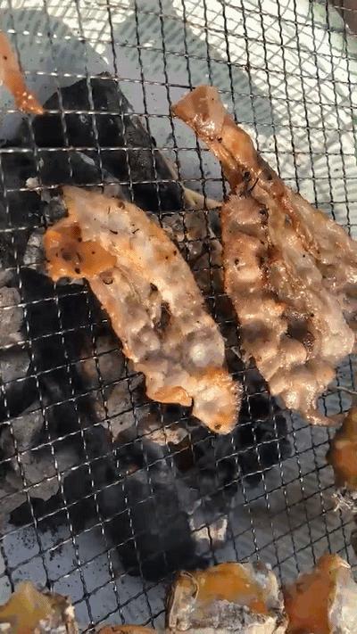 趁着午休两小时，他们在天台上组了个jió盆烤肉趴