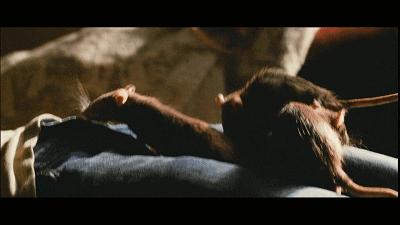 门徒毒品知识普及,门徒讲述毒品分布