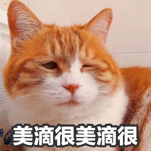 有哪些发色是tony老师染不出来的,tony教你染头发