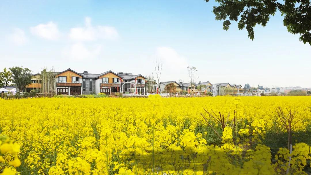 成都天府新区有什么景点,成都天府新区有哪些景点