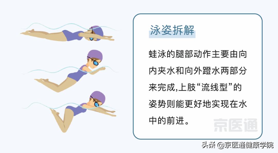 游泳有哪些好处视频,四种泳姿对身体的好处