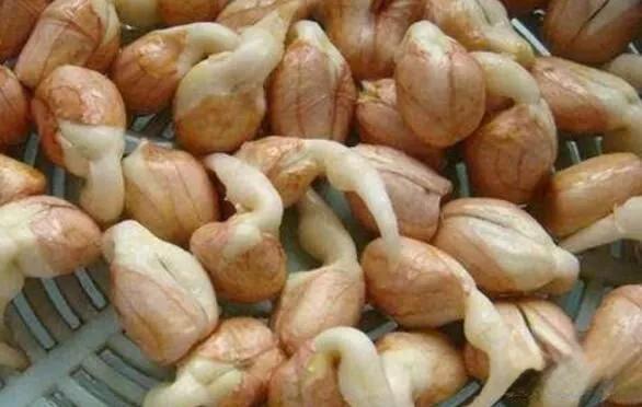 发霉的花生有毒吗,发霉花生真的一克就能致癌吗