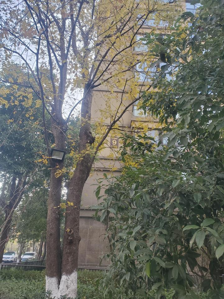 杭州144套房屋拍卖最新信息,杭州拍卖房1200平米