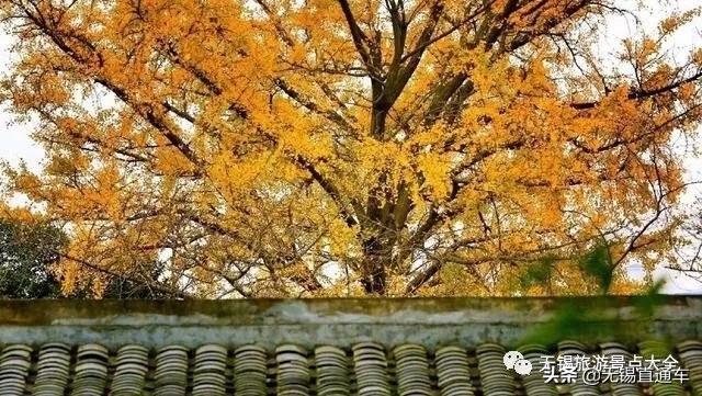 无锡唯有美食与你不可辜负,无锡夏日特色美食有哪些