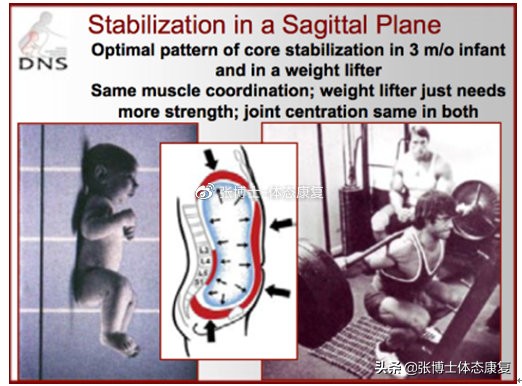 「功能训练」仰卧蜷腹滚动练习，真正提高你的核心稳定性