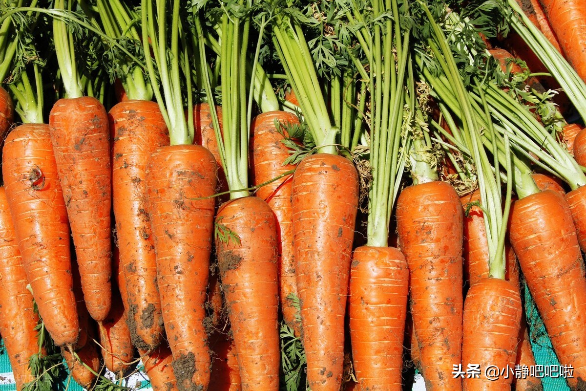 你不知道的国家冷知识捷克,你不知道的国家冷知识立陶宛