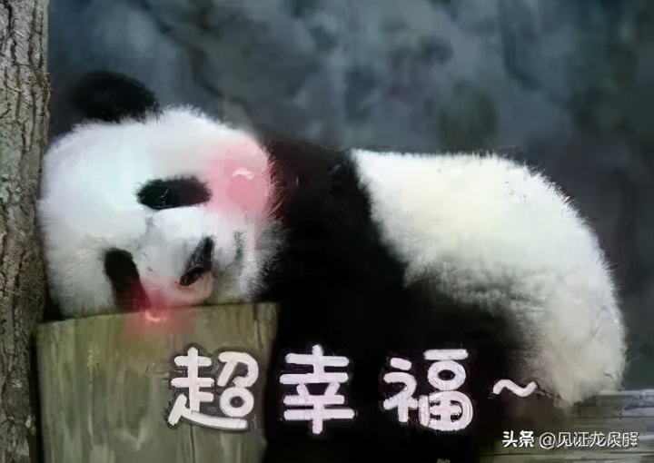 就医过程中感受到便利和温暖,就医体验上的幸福感