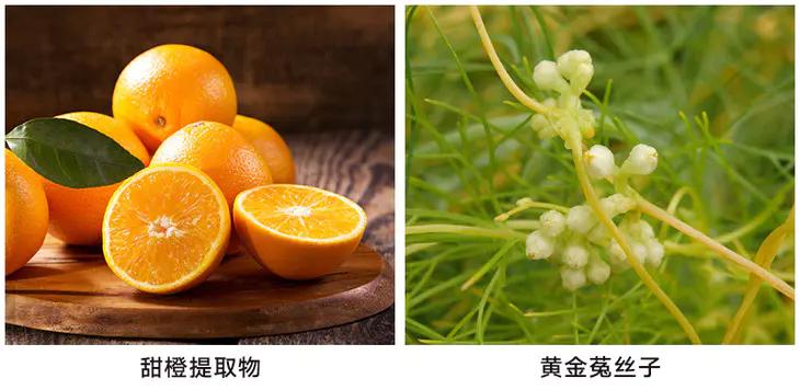 会拉丝的植物面膜,会拉丝的面膜霜