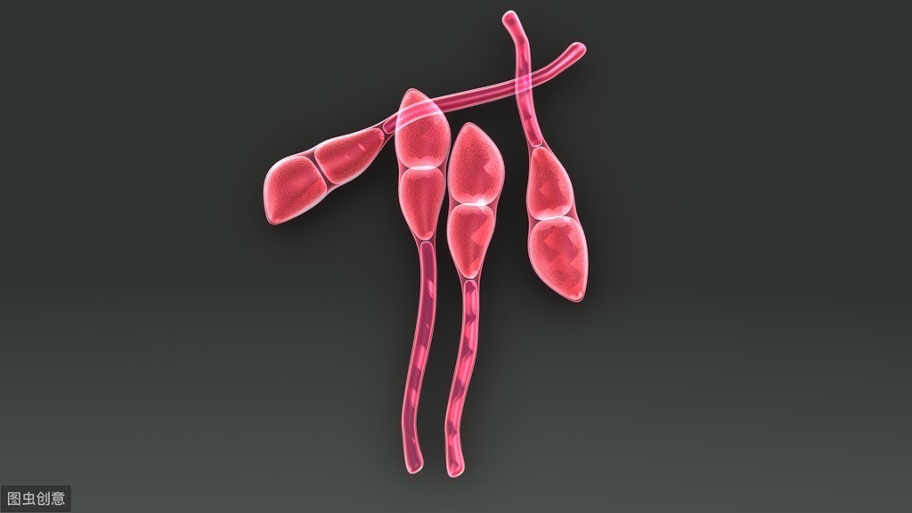 关于小麦上的锈病，你了解哪些知识？