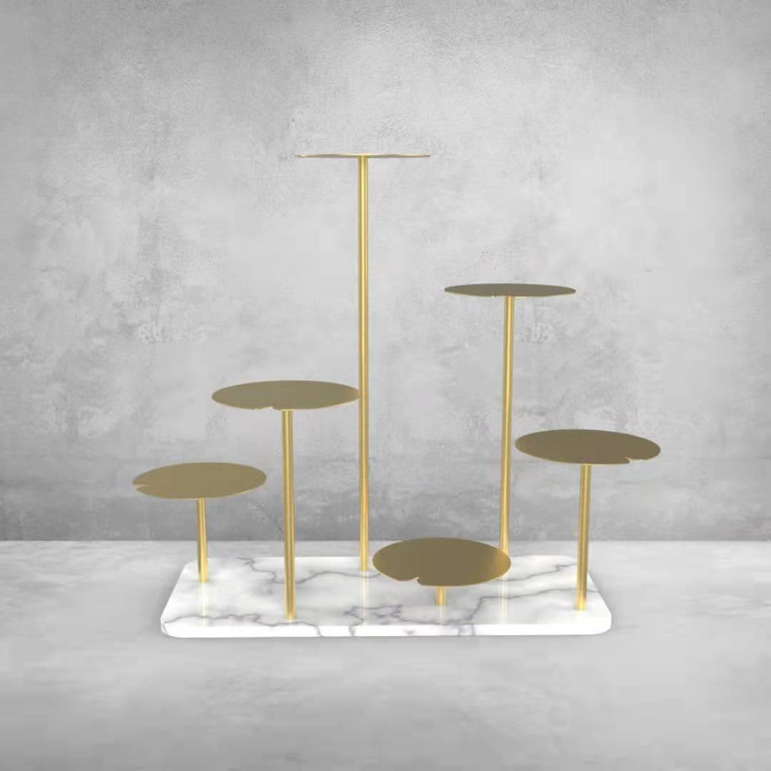 花盆养花技巧图解教程,花盆养花小技巧大揭秘