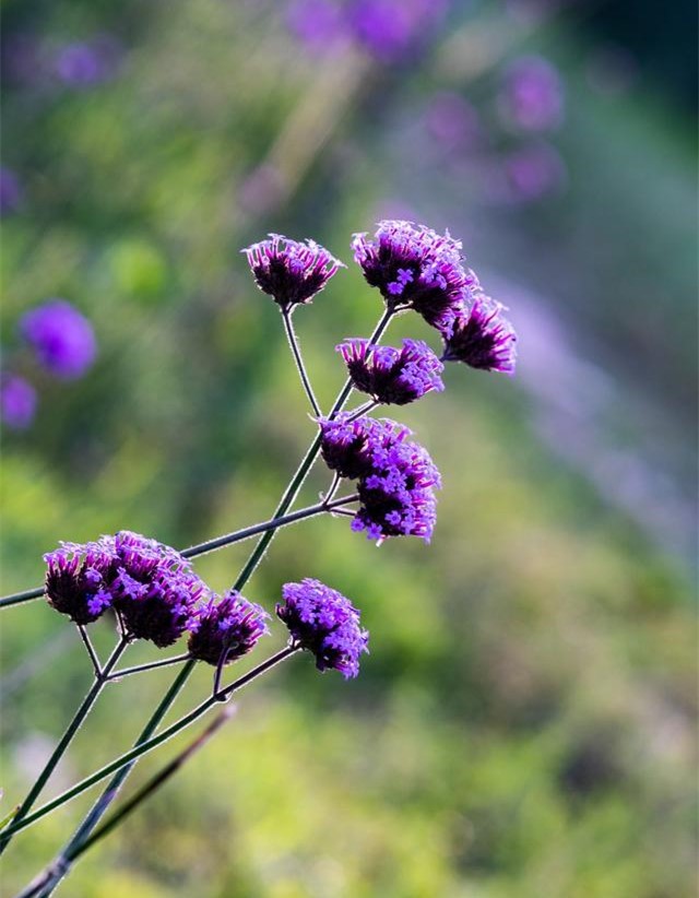 长时间没有*生活性**的影响是什么？