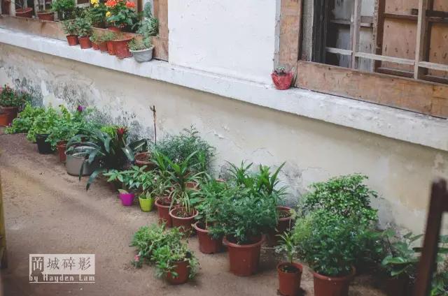 在新会城的中心，有一座时光的废墟