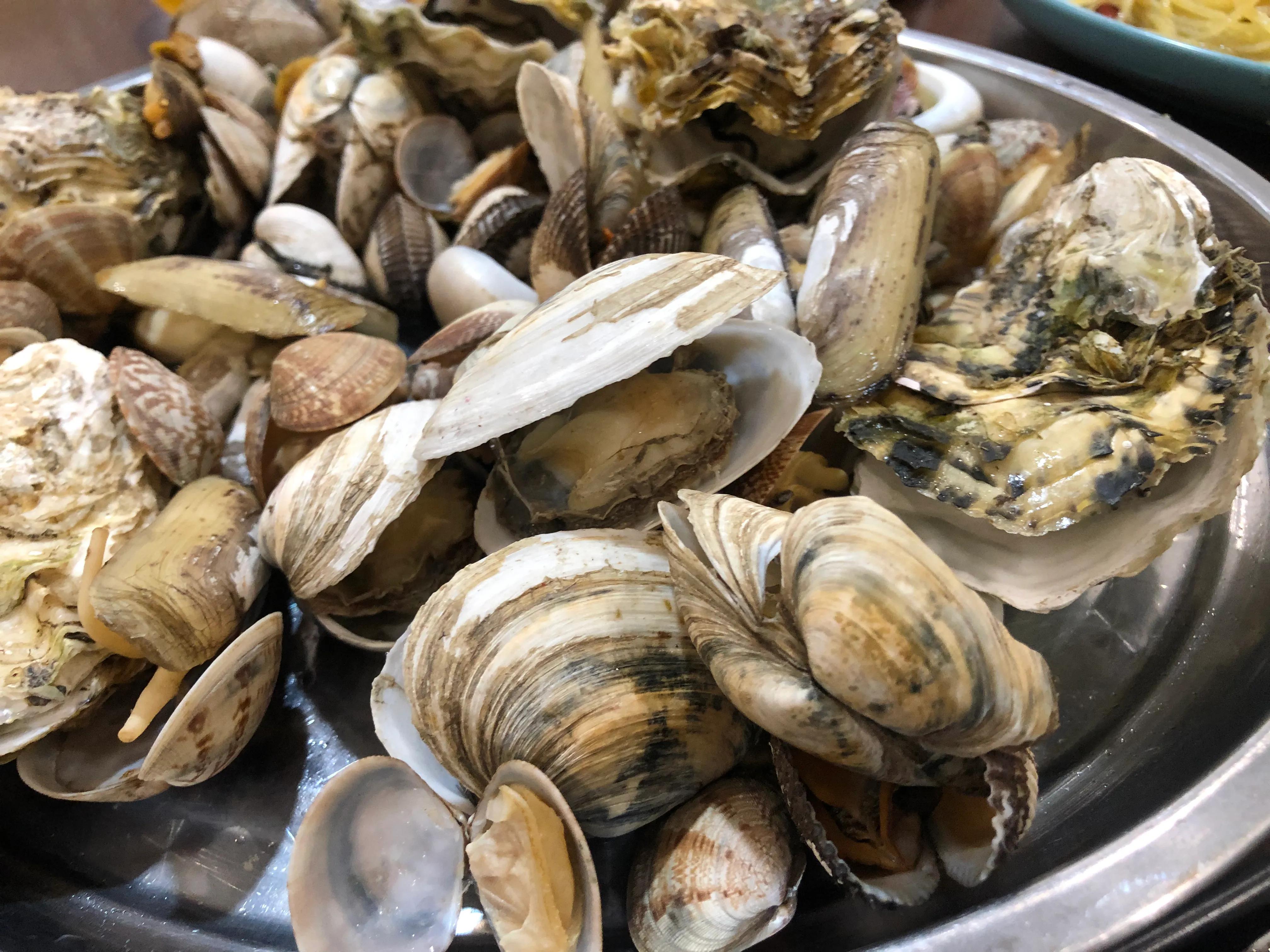 在山东有一种炫富叫开海,有种炫富叫青岛开海了