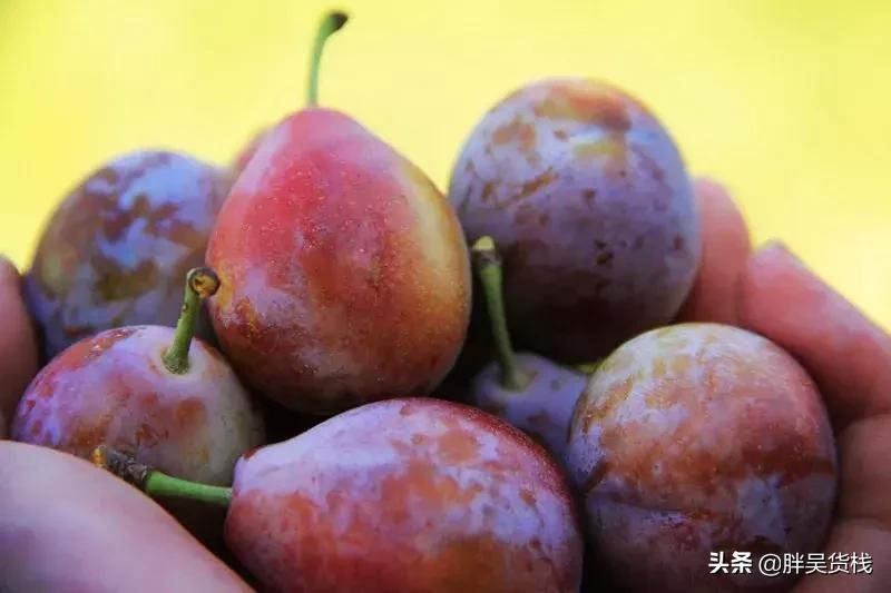 甜蜜多汁的新疆西梅你吃了吗,最顶级的西梅的味道