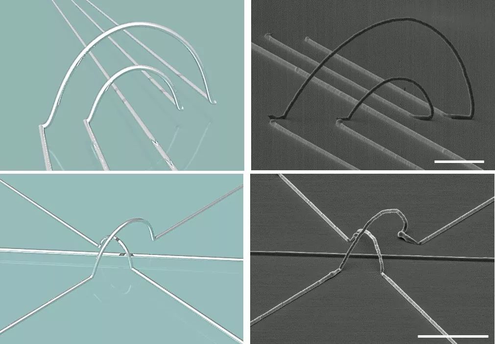 三维交互技术的前景,柔性可穿戴电子技术