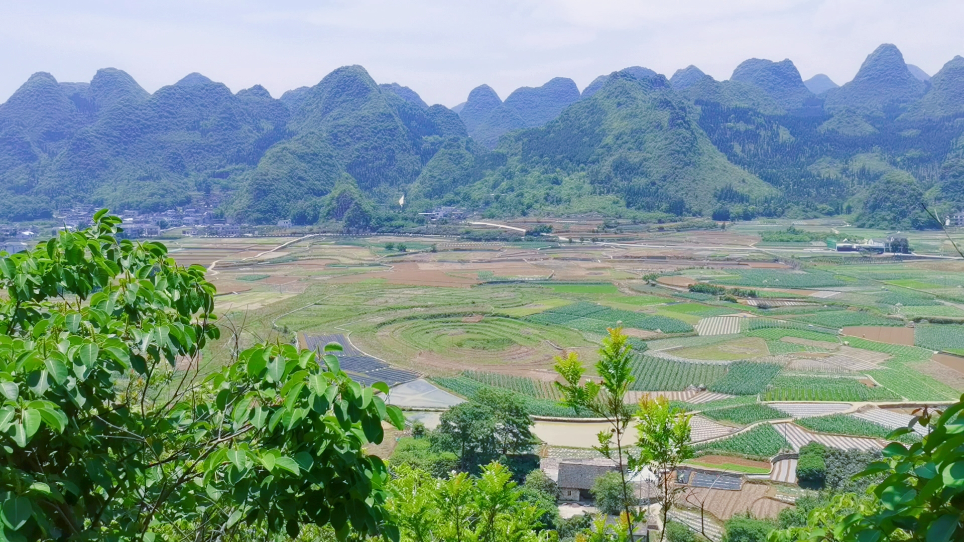 万峰林一手好牌，却没打好，这个4*级A**景区始终无法跨越的鸿沟