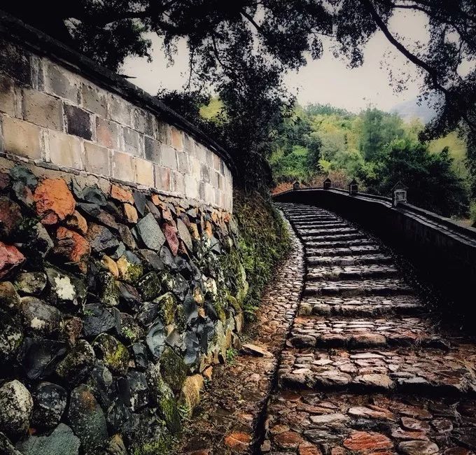 霞是光，浦是海：光与海的对话，吟唱出最美的滩涂