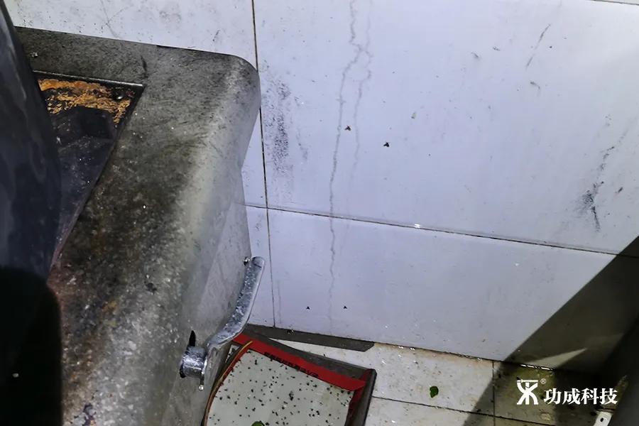 卫生间有小虫蛾蚋怎么治,卫生间出现蛾蚋怎么处理