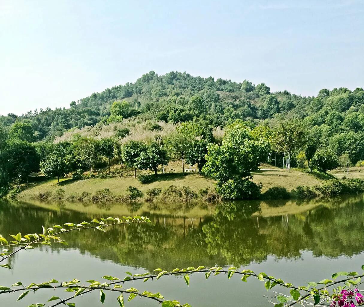 深圳免费公园哪里最好啊,深圳十大免费公园景点大全