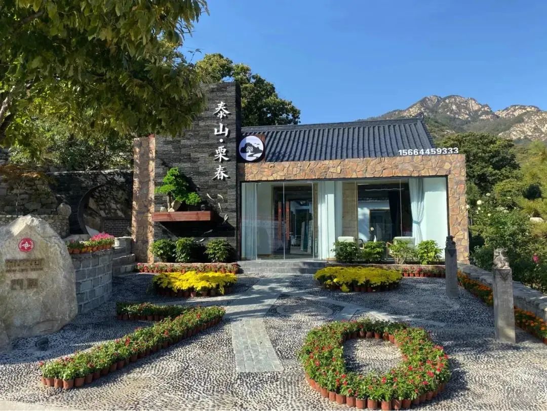 住在春天民宿,住在春天里这些民宿快收藏