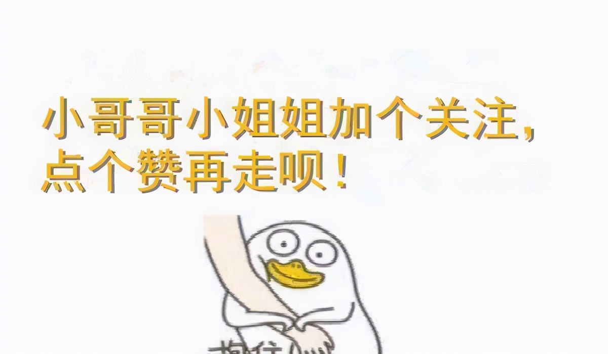 猫咪便便臭有血,猫咪便便太臭了怎么办