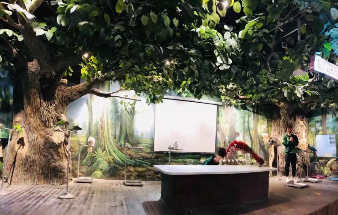 郑州奥林匹克公园萌宠乐园,郑州萌宠乐园长什么样子