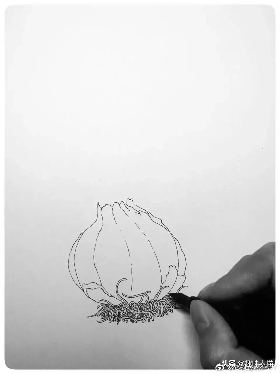 针管笔教程超适合初学者的笔,零基础针管笔教学