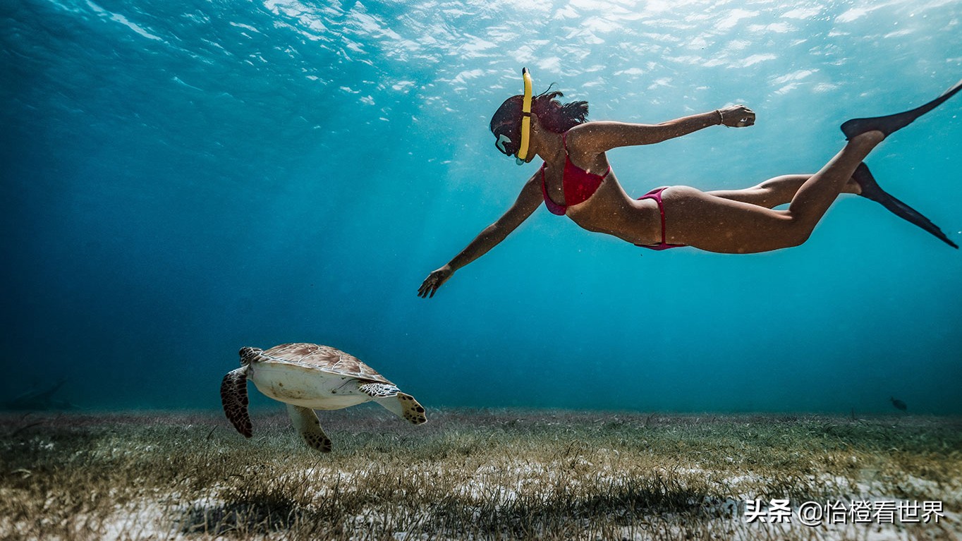 柏典马尔代夫婚礼,柏典马尔代夫房间实拍