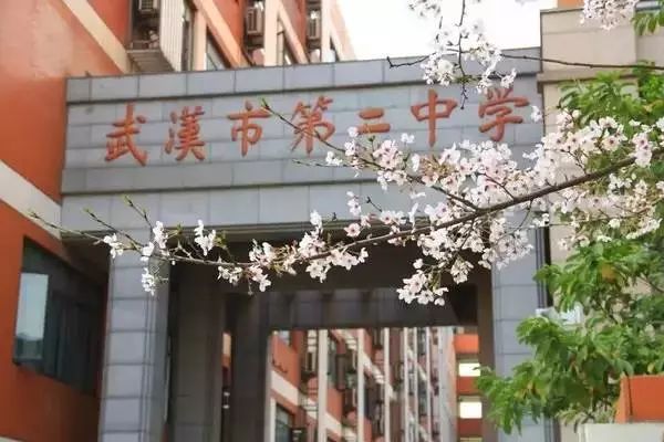 武汉最好10所高中,武汉前十名好学校