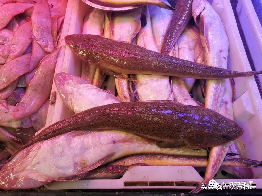 青岛海鲜市场价格表今日,青岛哪个农贸市场海鲜最便宜又好