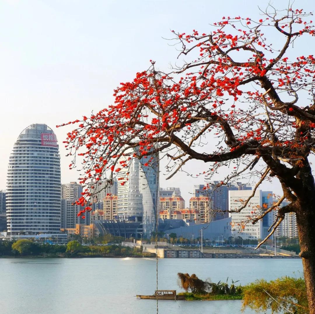 惠州亮灯为武汉加油,惠州武汉加油