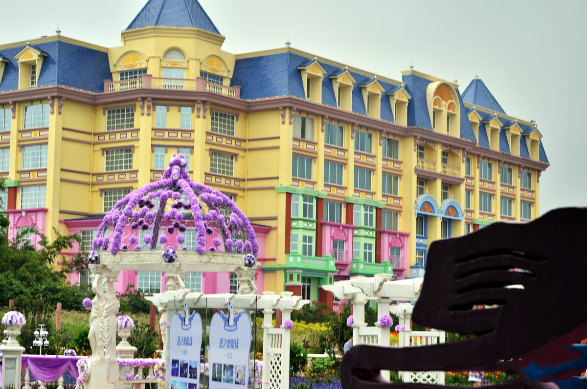 南沙百万葵园玩的景点推荐,广州南沙百万葵园