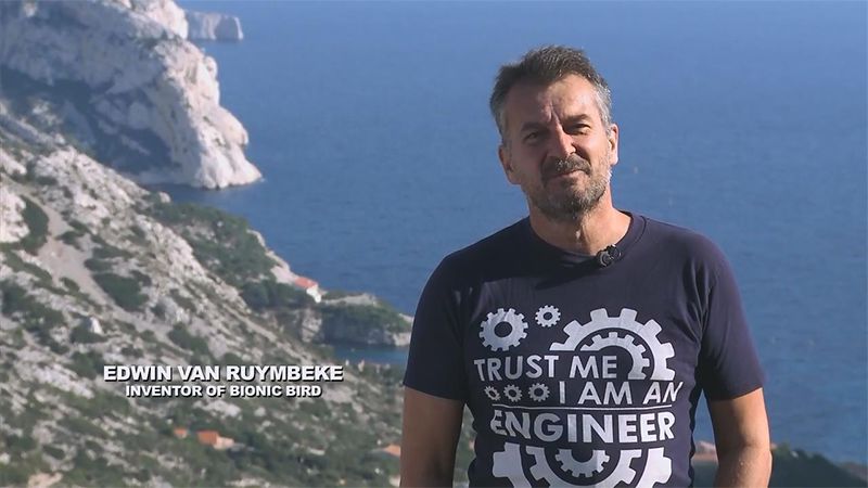 仿生鸟扑翼无人机,法国遥控仿生昆虫