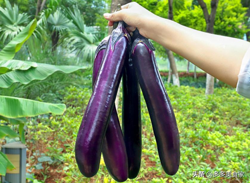 选购茄子有什么技巧和方法 (买茄子是轻的好还是重的好)