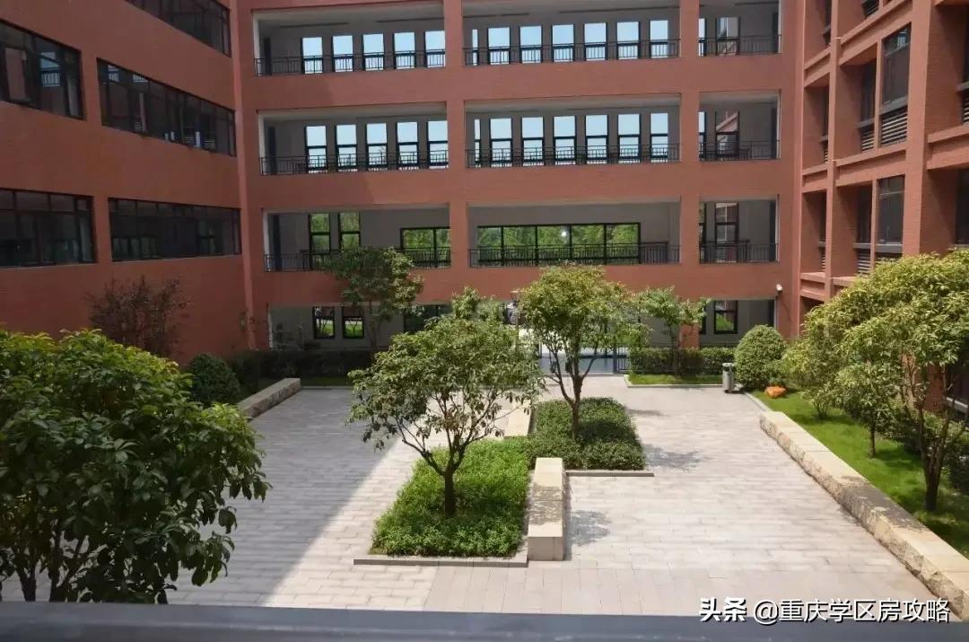 照母山的重点中学,照母山优质学区