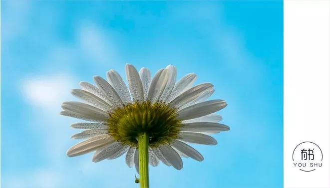 领导告知员工不干就滚该怎么回复,领导让员工干活员工不干怎么办