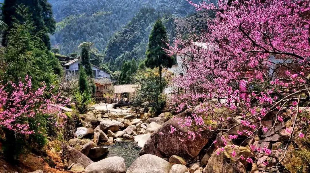 文成悦慢特色民宿,文成百丈漈水云见民宿