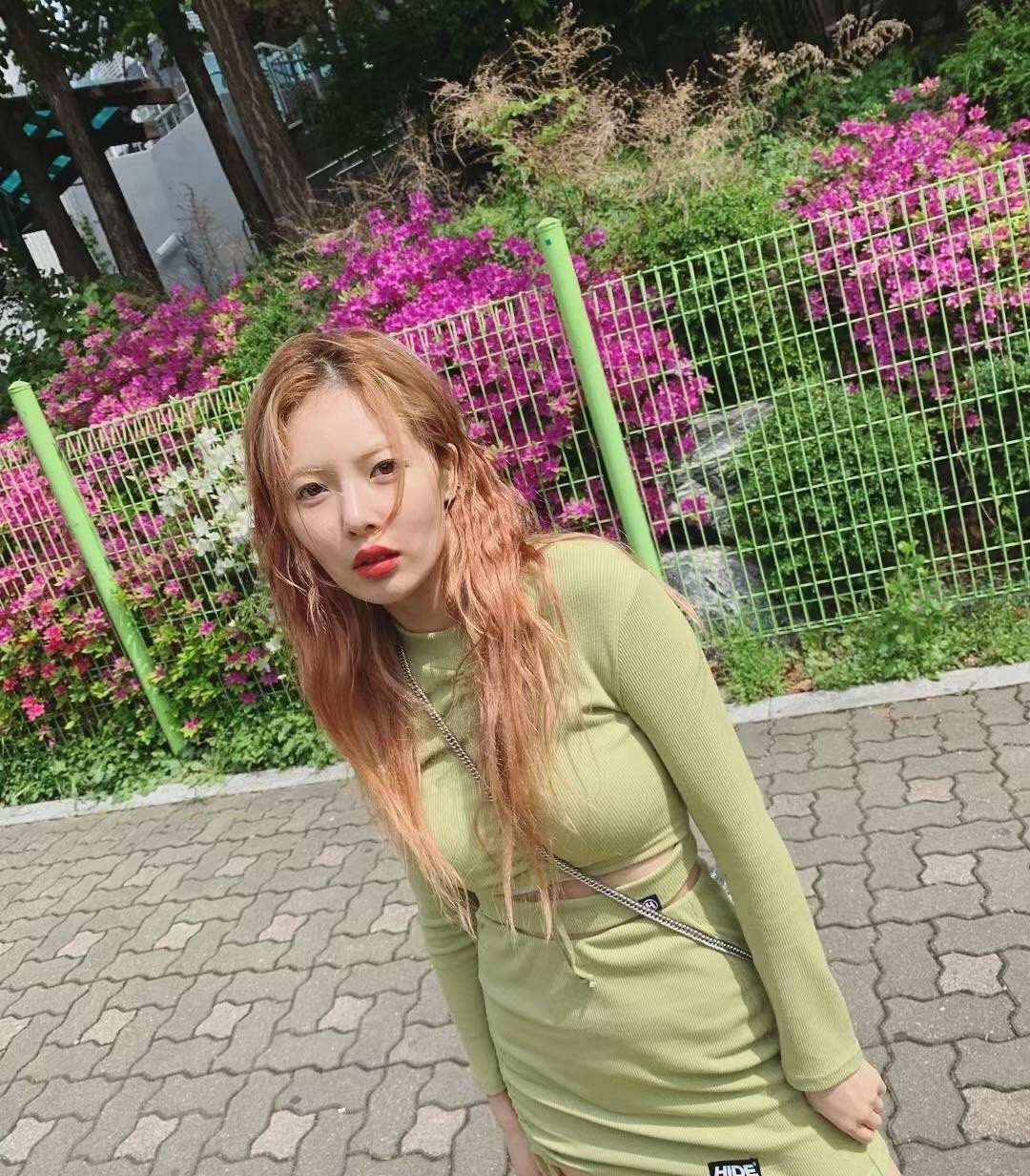 泫雅夏日必备,泫雅牛油果绿色毛衣