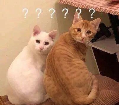 收缩毛孔告别五大误区,收缩毛孔的四大禁忌