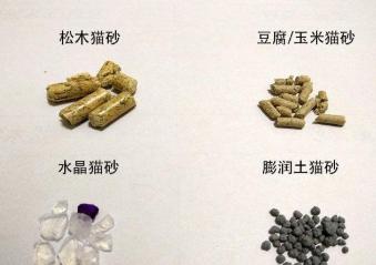 猫咪乱拉臭臭怎么办,猫咪乱拉用什么除味道