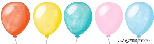 广西玉林生猪最新价格行情,广西农产品一周价格行情