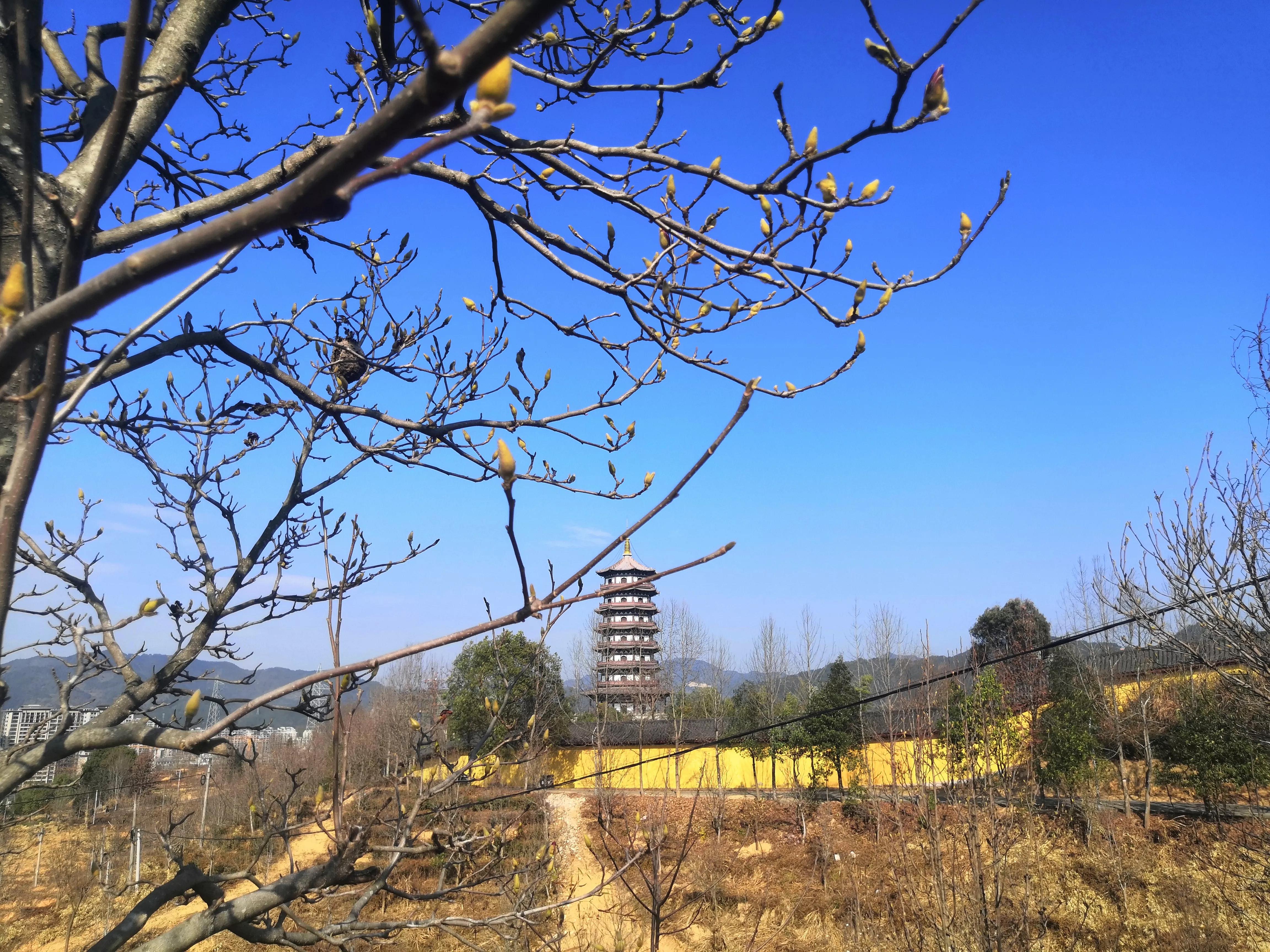 美丽的浙江山城龙泉,龙泉是一座什么样的城市