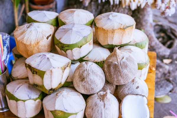 广州南沙最美风景区,南沙湾区超美风景线